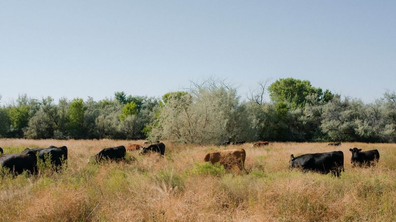 Das Geheimnis der Skinwalker Ranch