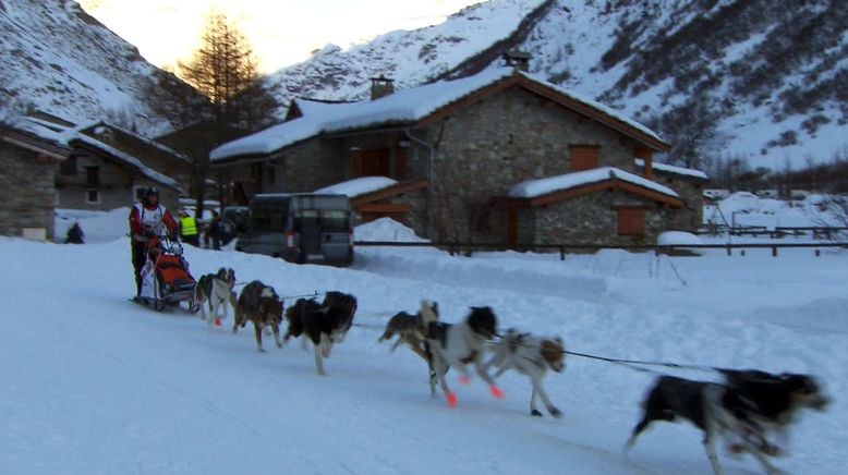 Lara rennt - Schlittenhunde am Mont Blanc