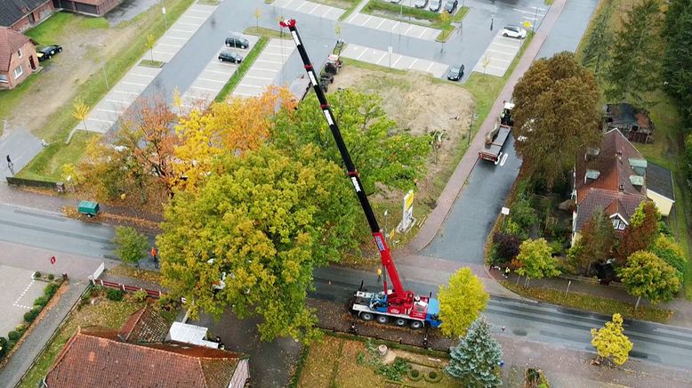 Herbststress für die Holzprofis