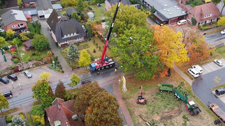 Herbststress für die Holzprofis