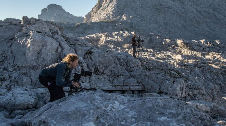 Das Tote Gebirge - Wunderwelt des Lebens