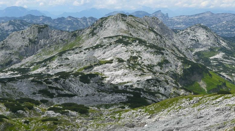 Das Tote Gebirge - Wunderwelt des Lebens