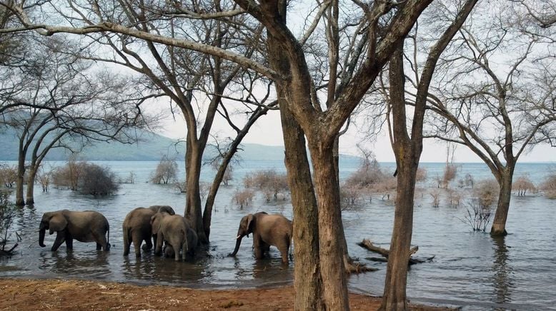 Tanganjikasee - Das blaue Herz Afrikas