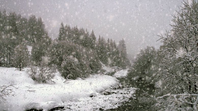 Der ersehnte Schnee