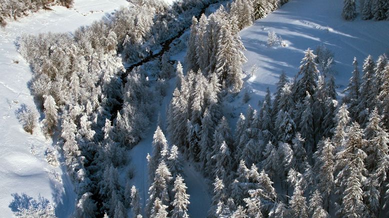 Der ersehnte Schnee