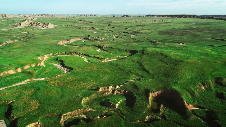 Il était une fois dans la prairie