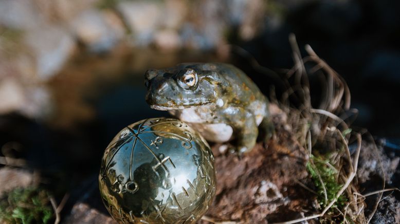 Das Märchen vom Frosch und der goldenen Kugel