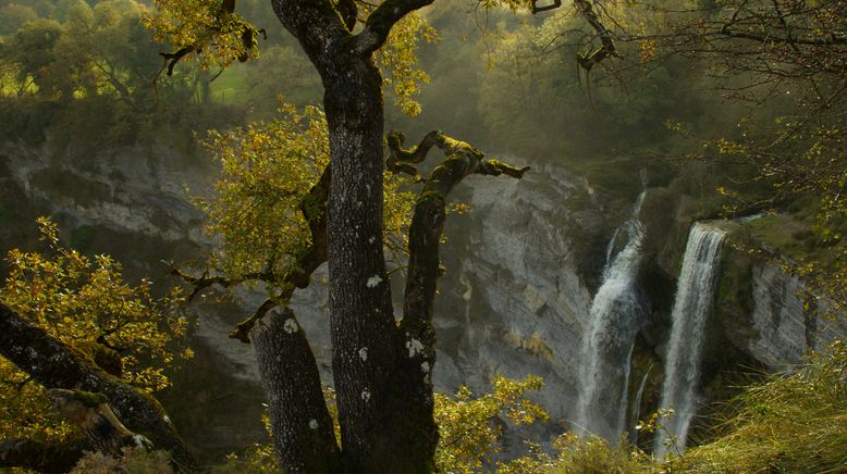 Schätze der Natur