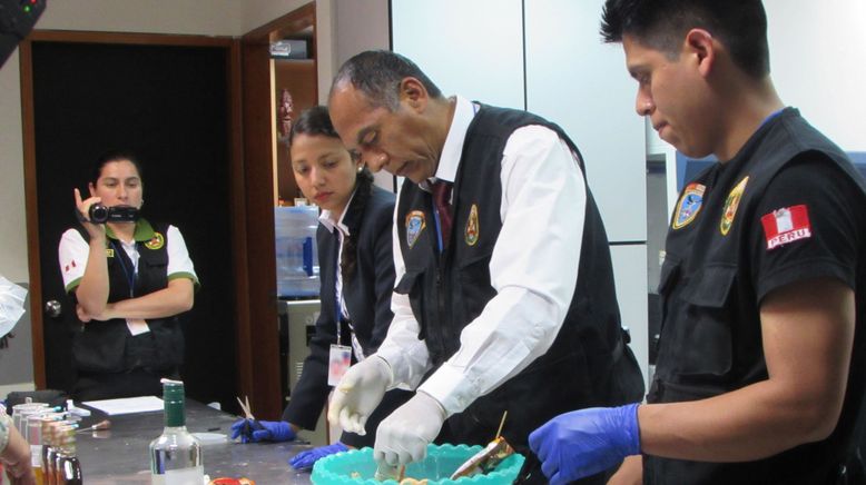 Airport Security: Peru