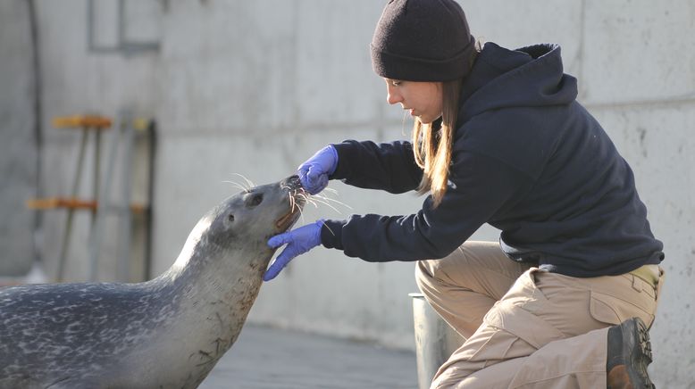 Unsere Helden: Die Tierärzte in der Arktis