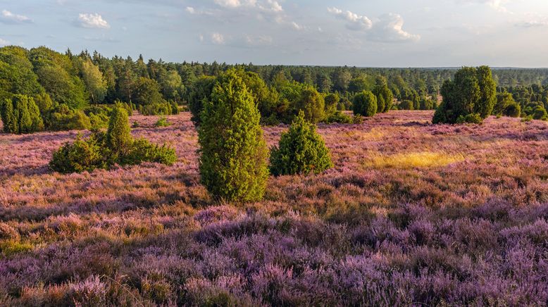 Heimat Natur