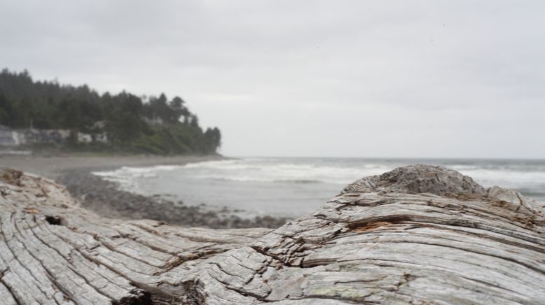 Mega Tsunami: Die nächste Monsterwelle