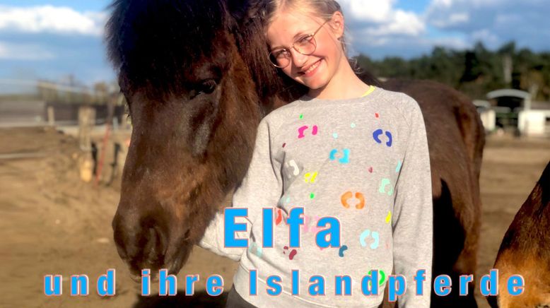 Elfa und ihre Islandpferde