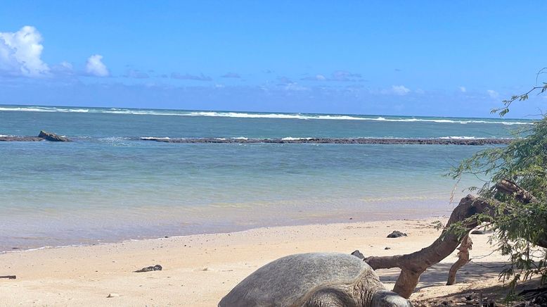 Hawai'i