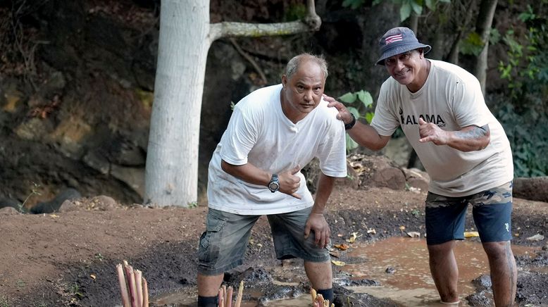 Hawai'i: Aus Feuer geboren