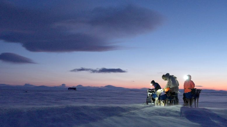 Mit meinen Schlittenhunden durch Alaska