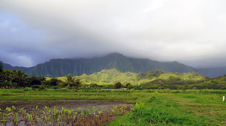 Hawai'i