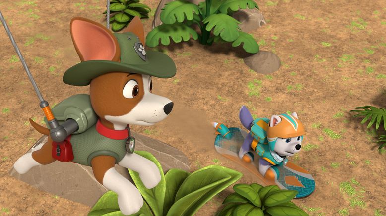 Paw Patrol: Helfer auf vier Pfoten