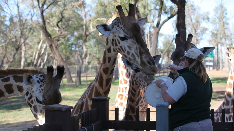 Taronga Zoo Hautnah