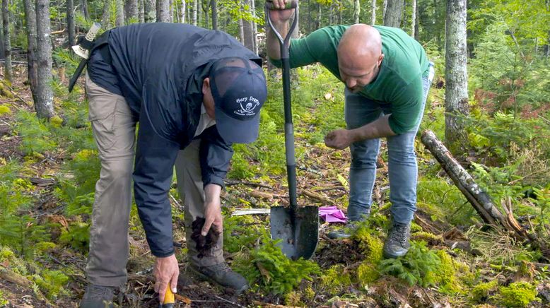 Die Schatzsucher von Oak Island