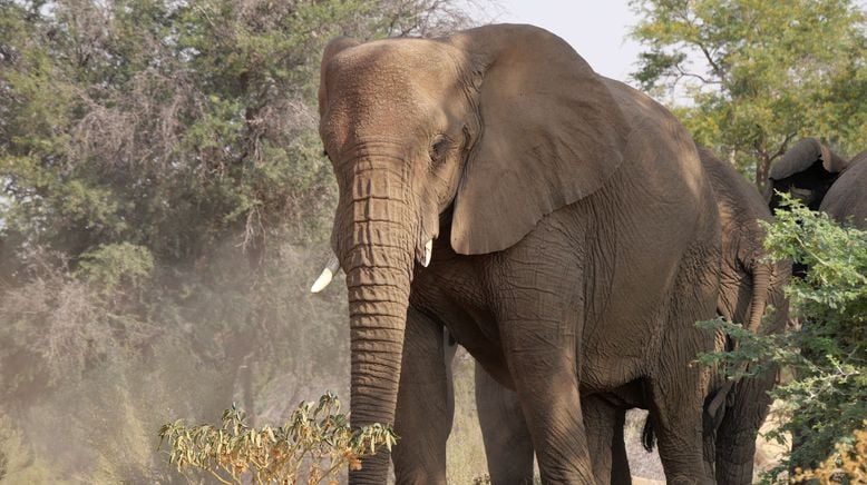 Namibia - Leben mit der Wüste