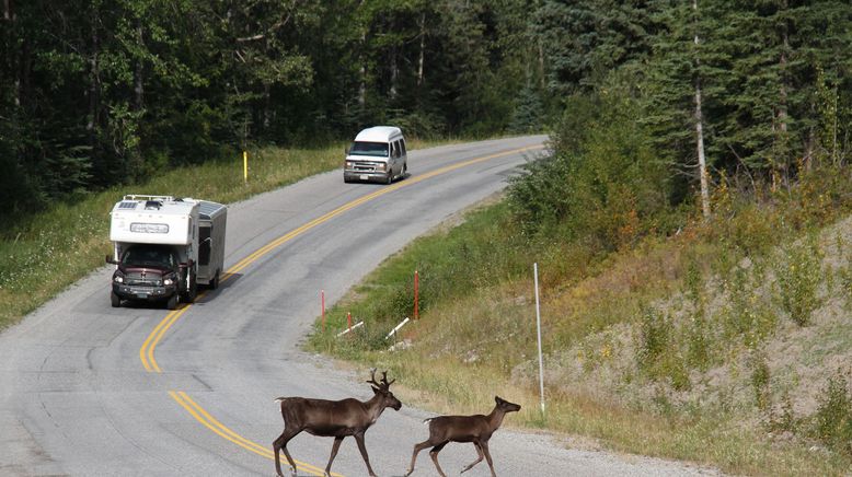 Alaska Highway