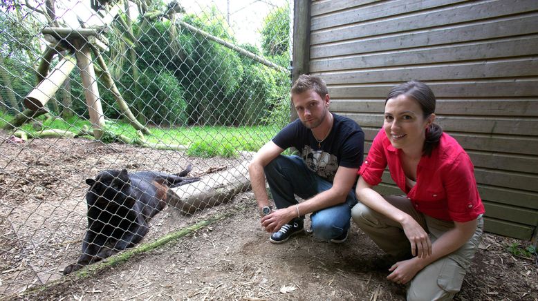 Wildtiere in der Kamerafalle