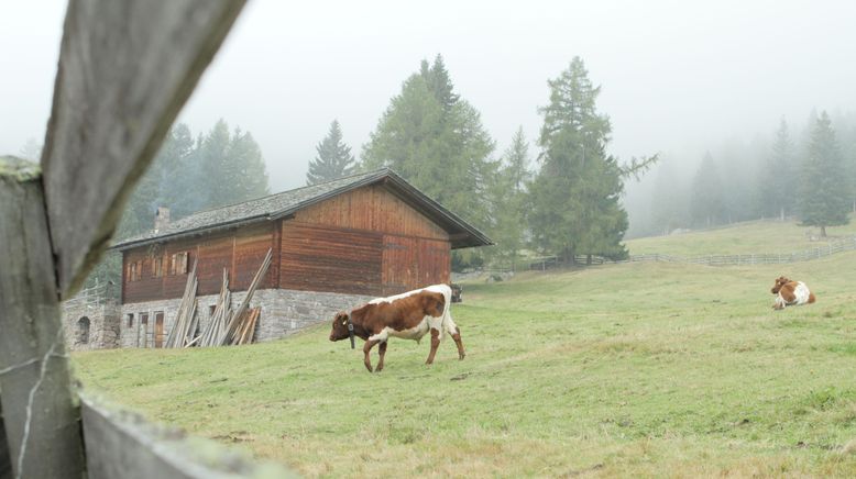 Heimatleuchten