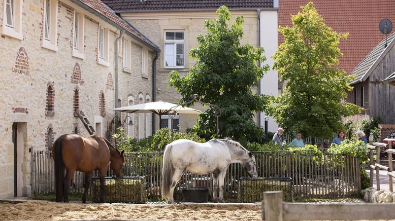 Wir sind Dorf!