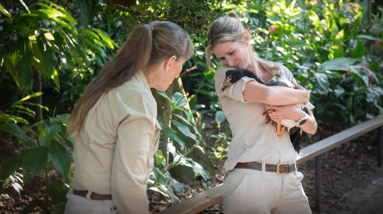 Die Irwins - Crocodile Hunter Family