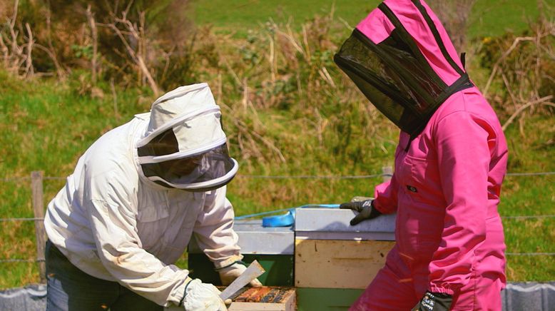 Die Bienenflüsterer