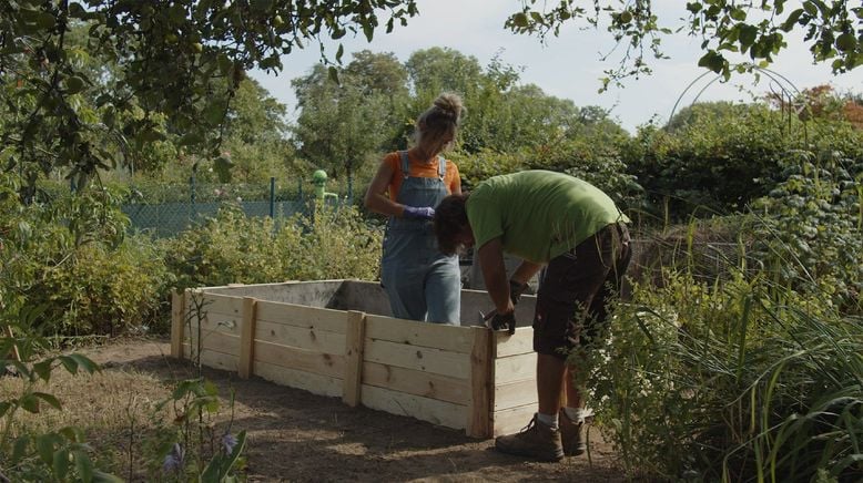 Mein urbaner Garten - Zwischen Blüten und Beton