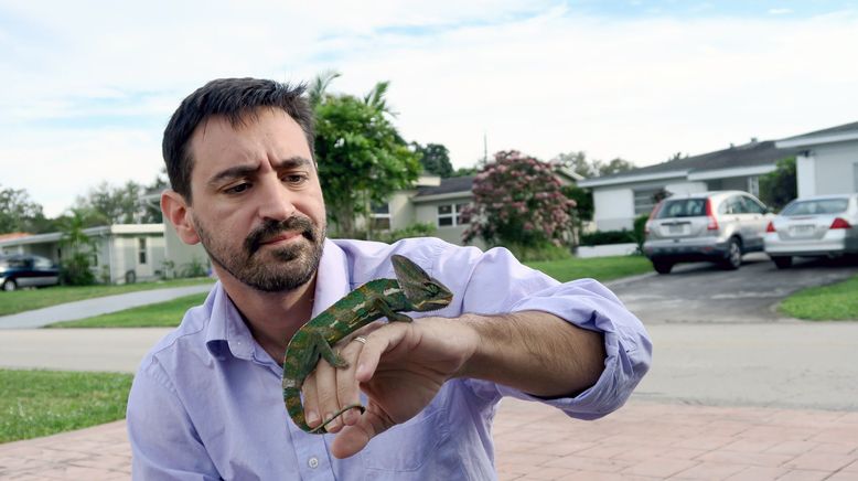 Pythons: Invasion in Florida