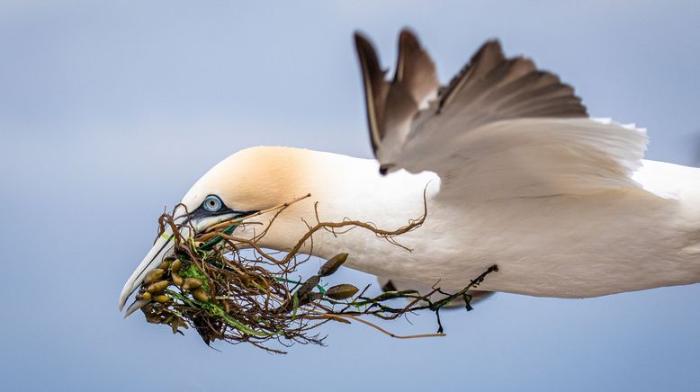 Unsere Meere: Die Nordsee. Die Ostsee