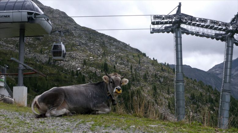 Hoch über dem Vinschgau