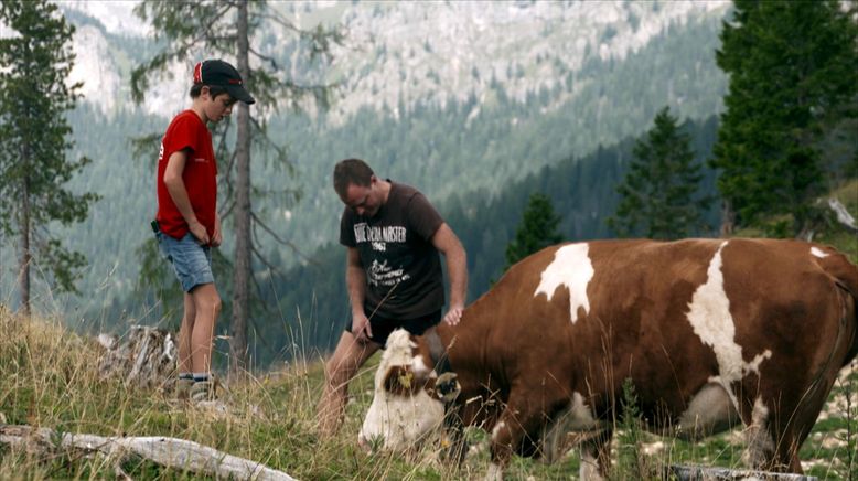 Hoch über dem Vinschgau