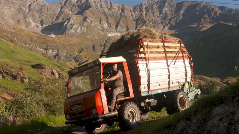 Hoch über dem Vinschgau