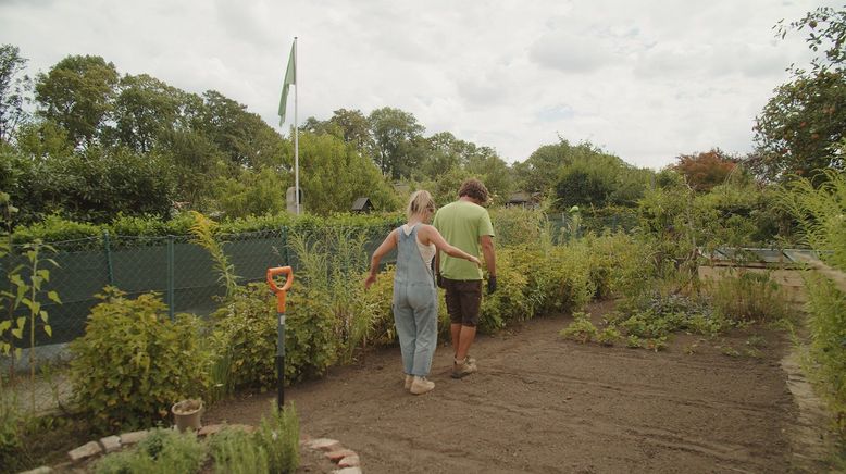 Mein urbaner Garten - Zwischen Blüten und Beton