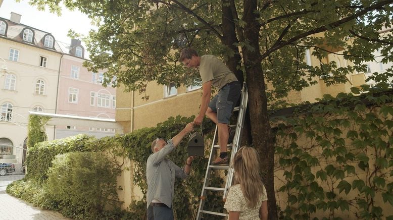 Mein urbaner Garten - Zwischen Blüten und Beton