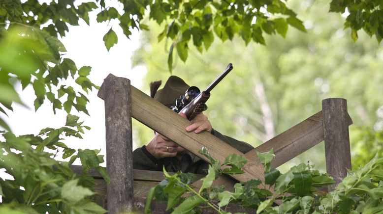 Auf der Jagd - Wem Gehört die Natur?