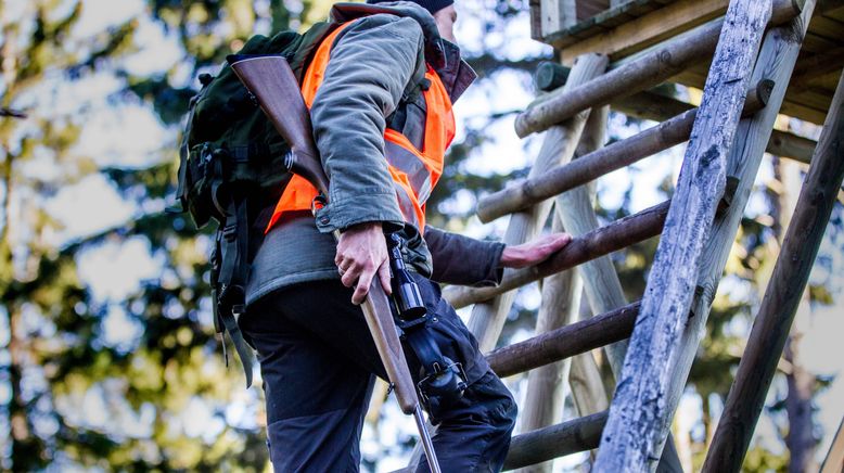 Auf der Jagd - Wem Gehört die Natur?