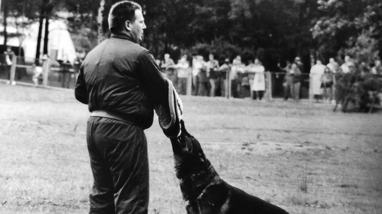 Einsatz auf vier Pfoten - Die Schule für Polizeihunde