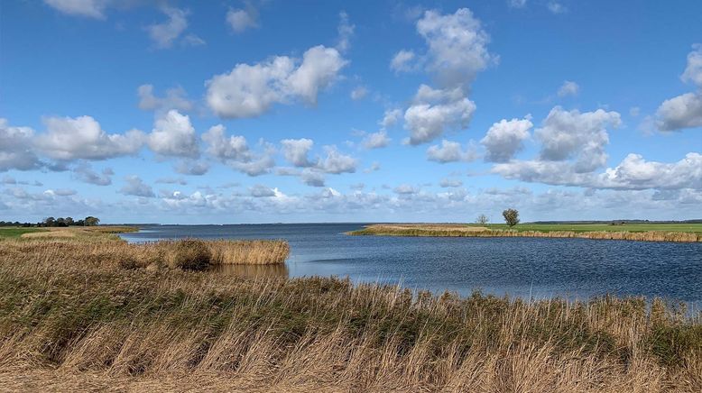 Die Ostsee, Sehnsuchtsort der Kraniche