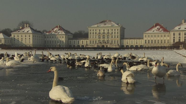 Münchens neue wilde Isar