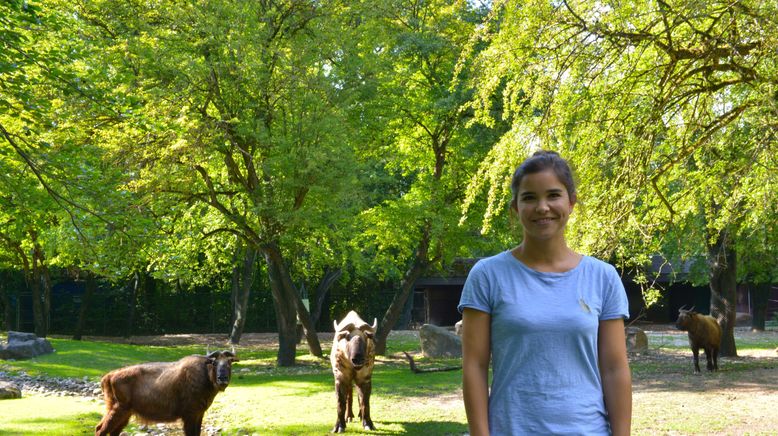 Anna und die wilden Tiere