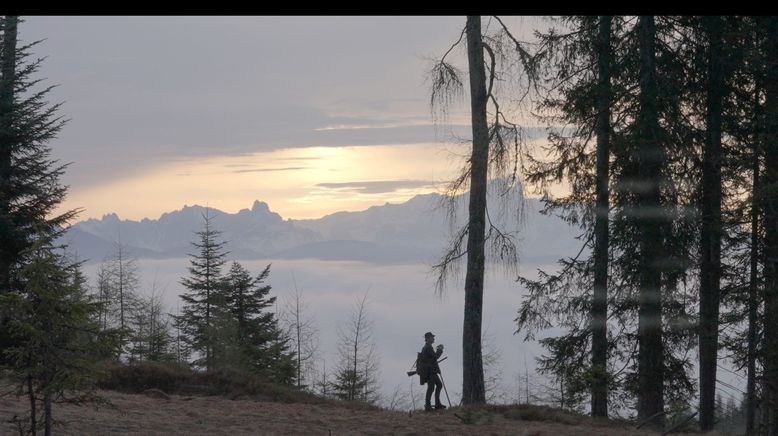 Wild auf Jagd im Gebirge