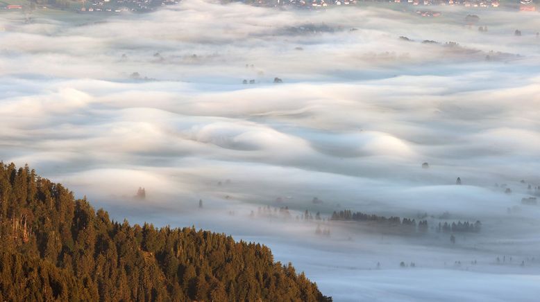 Am Fuß der Berge