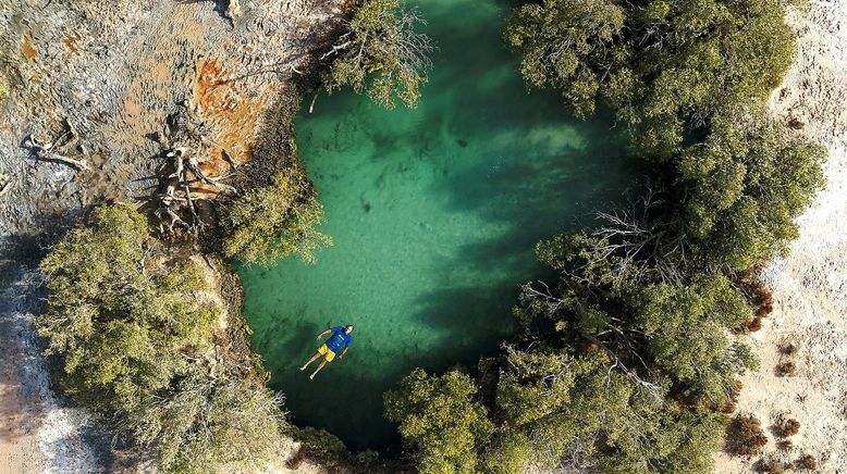 Ningaloo: Australiens Ozeanwunder