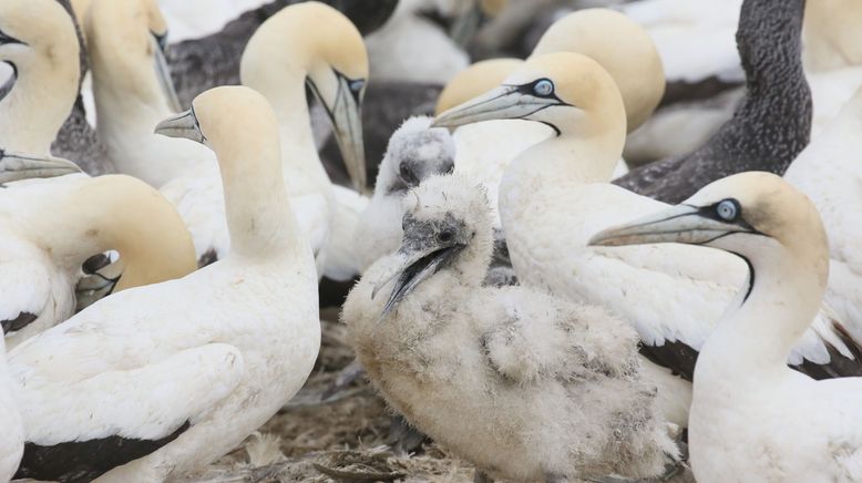 Tierische Mamas