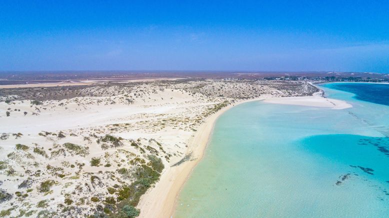 Ningaloo: Australiens Ozeanwunder